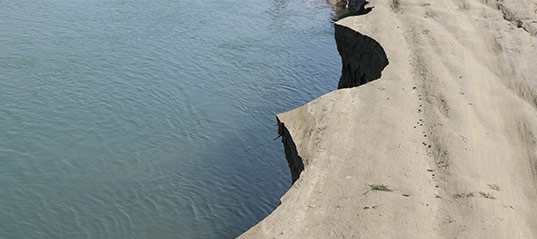 bioengineered structures